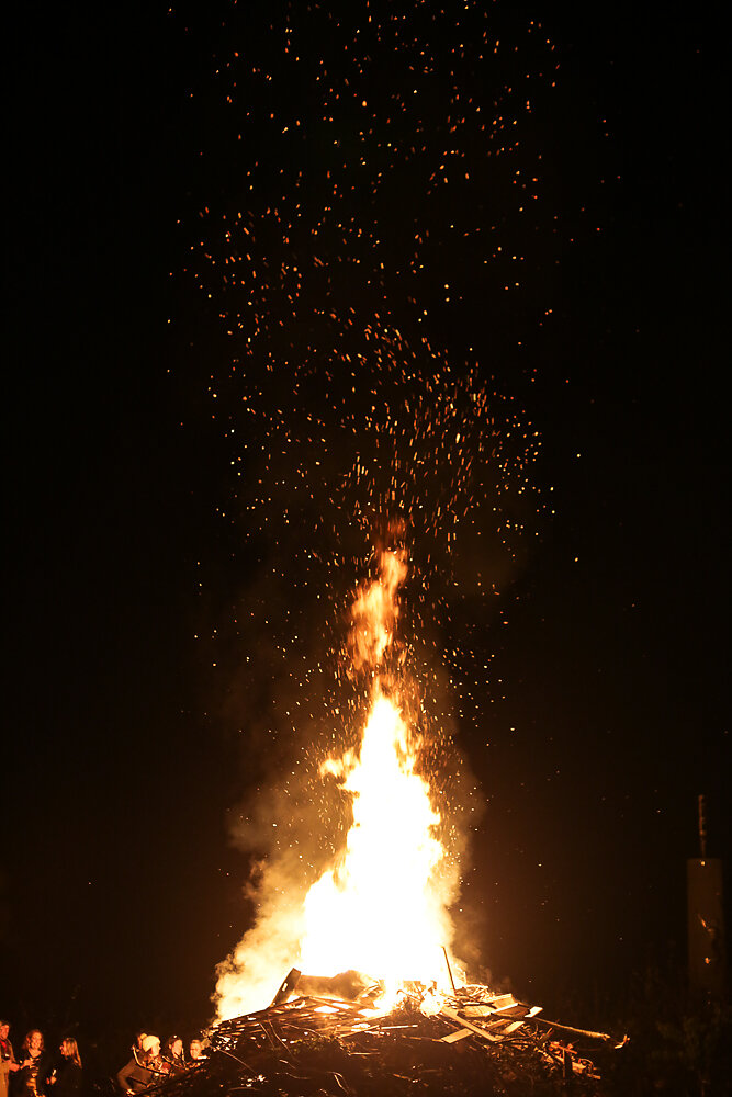 fest-3.jpg