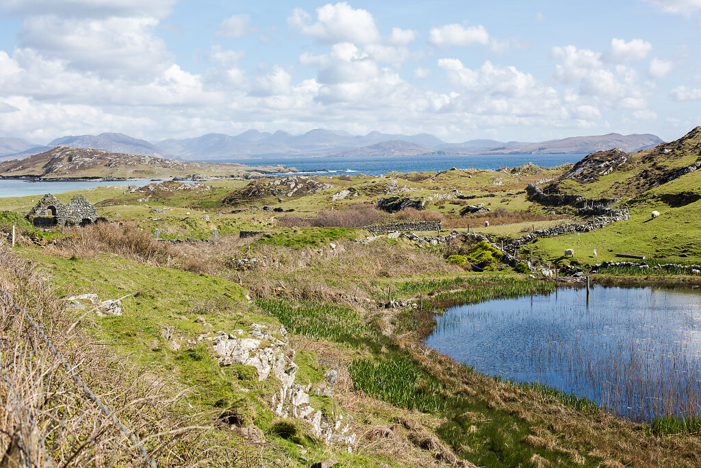 landscape2-2.jpg